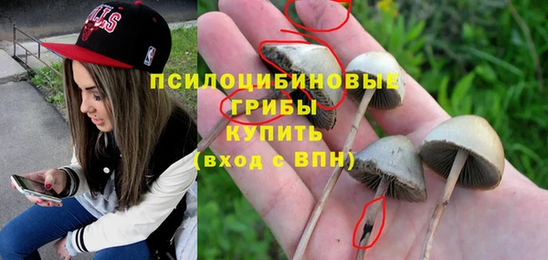 гидропоника Балабаново