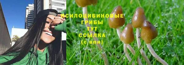 экстази Баксан