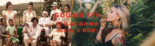 шишки Балахна