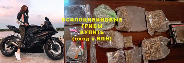 шишки Балахна