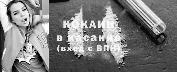 шишки Балахна